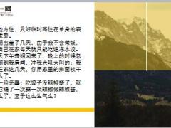每日快乐早会18年11月9日使用12页.ppt