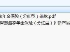 合众智慧盈家年金保险分红型条款费率表.rar