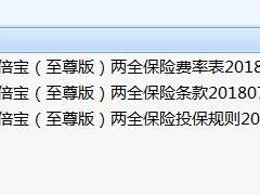 君康附加多倍宝至尊版两全保险条款费率投保规则.rar