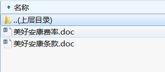 陆家嘴国泰美好安康重大疾病保险条款费率.rar