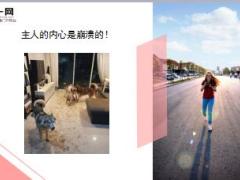 每日快乐早会18年11月13日使用12页.ppt