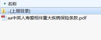 中英人寿爱相伴重大疾病保险条款.rar