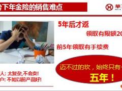 华夏保险中介渠道华夏红产品解析39页.ppt