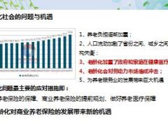 国华附加养老年金保险尊享版产品背景特色形态案例27页.ppt