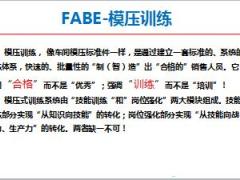 FABE模压训练实操介绍29页.ppt