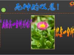 谁偷走了你的时间精美46页.ppt