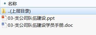 准支公司经理第二轮培训4支公司队伍建设及学员手册.rar
