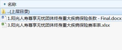 阳光人寿尊享无忧团体终身重大疾病保险条款.rar