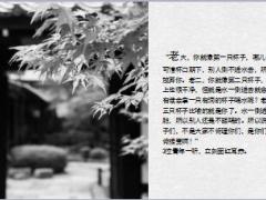 每日保险故事3只水杯7页.ppt