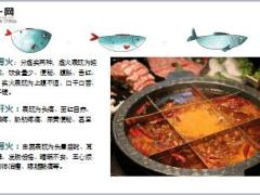 每日健康上火了就吃它们咽喉肿痛口腔溃疡皮肤干痒一吃就好21页.ppt