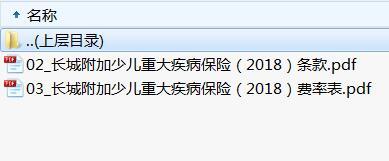 长城附加少儿重大疾病保险2018条款费率.rar