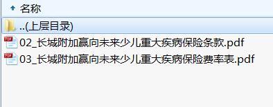 长城附加赢向未来少儿重大疾病保险条款费率.rar