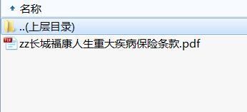 长城福康人生重大疾病保险条款.rar