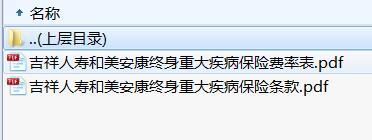 吉祥人寿和美安康终身重大疾病保险条款费率.rar