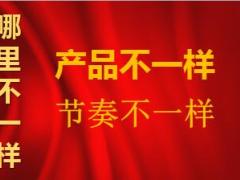 中国人寿鑫享金生背景形态亮点51页.ppt