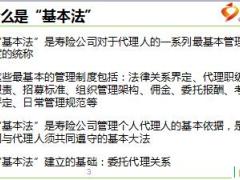 国寿收展基本法概览与盈利模式解读54页.ppt