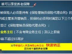 国寿营销伙伴养老保障一览18页.ppt