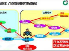 中国人寿基本法三大关系推荐关系培育关系推荐关系13页.ppt