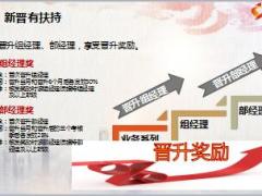 中国人寿2018晋升利益基本法学习11页.ppt