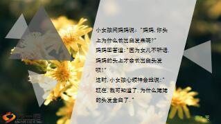 每日快乐早会18年11月26日使用12页.ppt