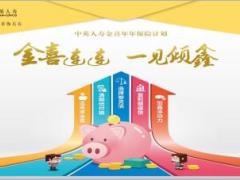 中英人寿金喜年年鑫如意鑫金喜组合介绍示例25页.ppt