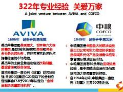 中英人寿提升服务合作共赢14页.ppt