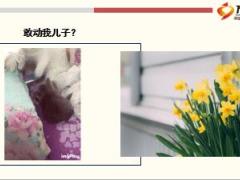 每日快乐早会18年11月27日使用12页.ppt