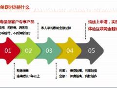 国寿保单E秒贷同业对比优势客户客群指引合规底线22页.ppt