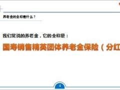 国寿养老金销售精英团队养老金保险投保条件领取规则账户构成资金余额归属23页.ppt