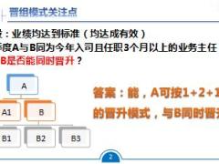 国寿基本法同降同升与组织架构关系19页.ppt