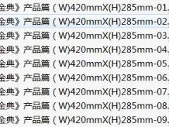 国寿金典产品篇JPG宣传折页17页.rar