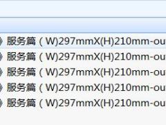 国寿金典服务篇JPG宣传折页5页.rar