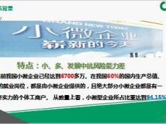 国寿店家一保通小微企业组合险产品背景内容21页.ppt