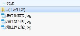 2019中国人寿鑫享金生B款宣导海报3页.rar
