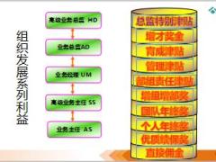 泰康人寿基本法详情解析67页.ppt