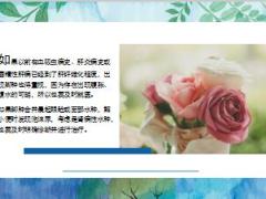 每日健康身体好不好看脚就知道脚肿竟可能是大病征兆17页.ppt