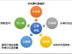 泰康人寿七步讲鑫福年金保险27页.ppt
