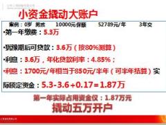 太平人寿保单贷款介绍11页.ppt
