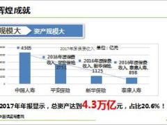 中国人寿公司介绍规模大品牌响经营稳17页.ppt