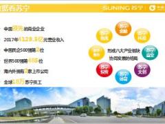 苏宁与保险公司家电特惠客户积累活动方案31页.ppt