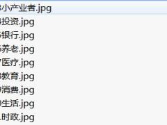 中国人寿高效互助自展模式之十大热点展板内容10页.rar
