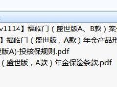 华夏福临门盛世版A款条款产品形态投核保规则案例演示.rar