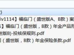 华夏福临门盛世版B款条款产品形态投核保规则案例演示.rar