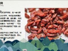 每日健康睡前吃五粒大补肝肾升免疫降三高功效看得见16页.ppt