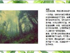 每日保险故事天才经营者7页.ppt