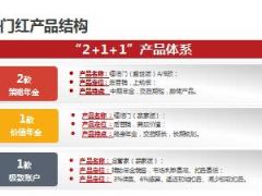 华夏福临门盛世版赢家版金管家产品形态特色案例50页.ppt
