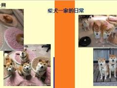 每日快乐早会18年12月5日使用12页.ppt