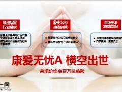 新华康爱无忧A背景简介销售逻辑推动思路44页.ppt