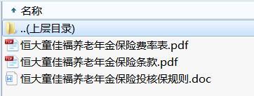 恒大童佳福养老年金保险条款费率投核保规则.rar