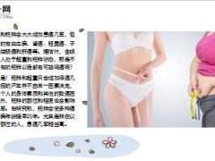 每日健康这三个部位一胖身体早晚要垮6页.ppt